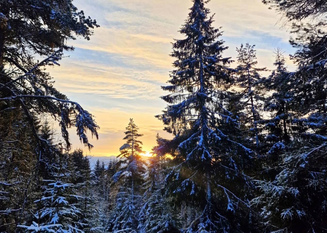 Skykkjeset og Botnane 