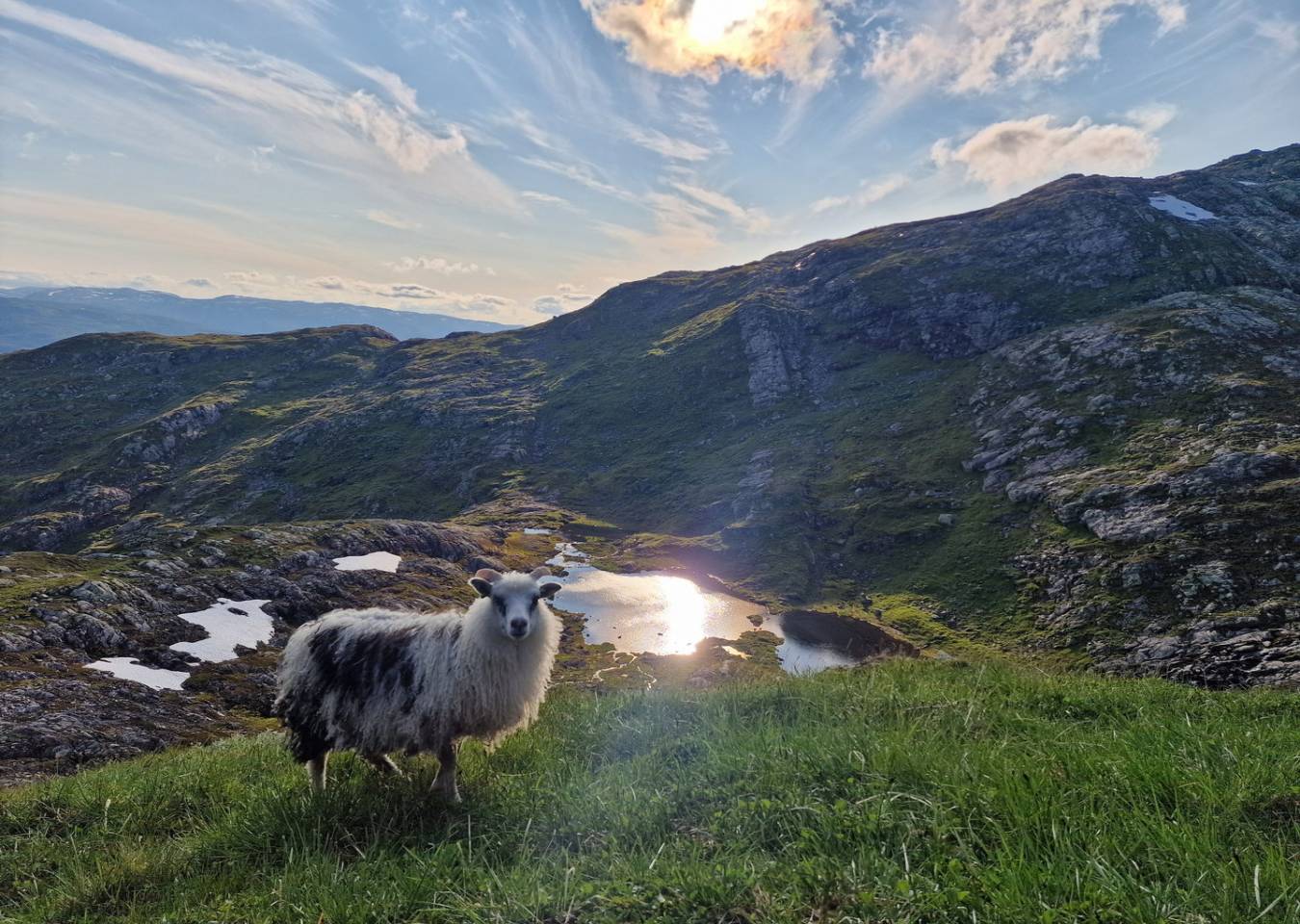 Skipadalsnuten Hjalladalen