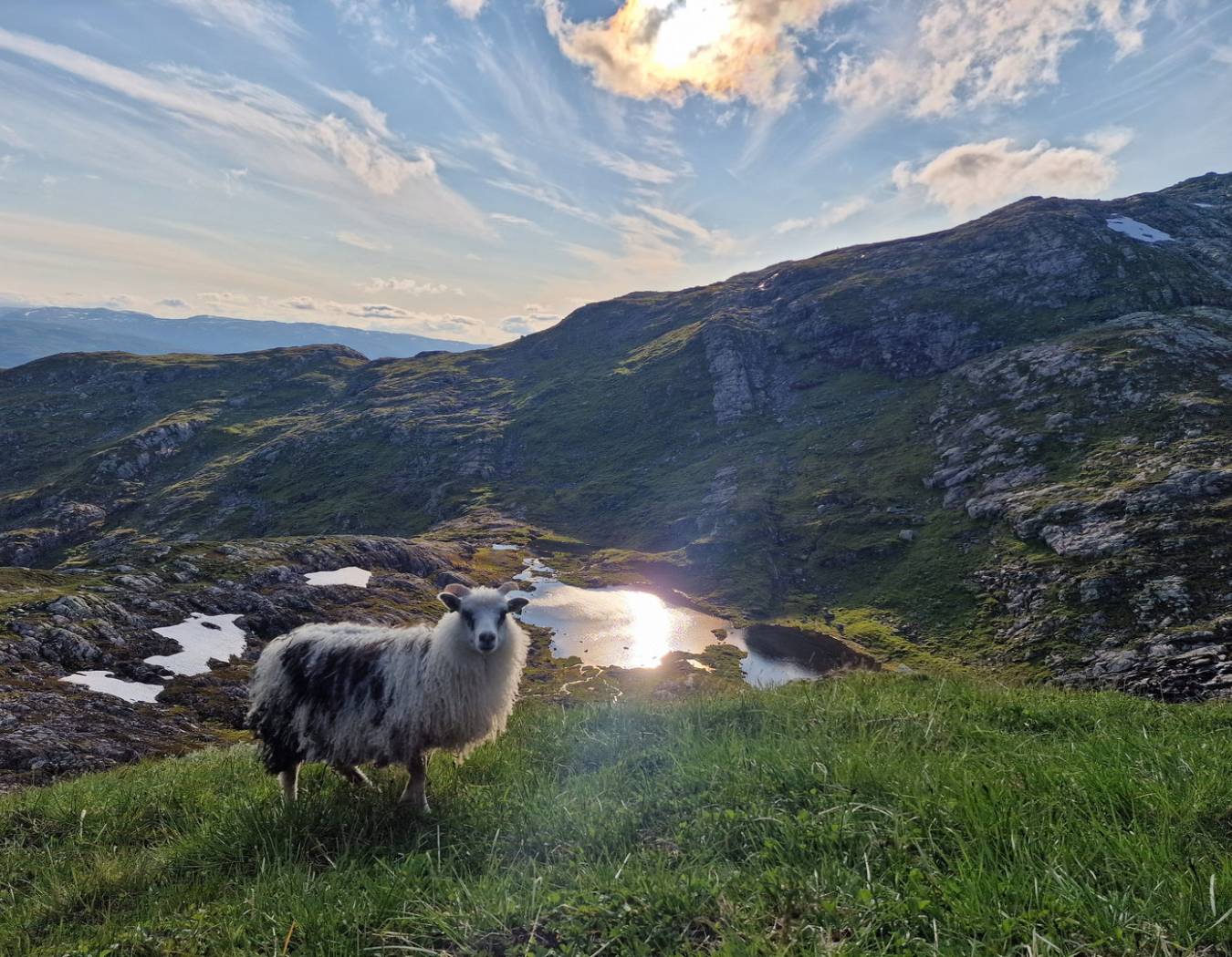 Skipadalsnuten Hjalladalen